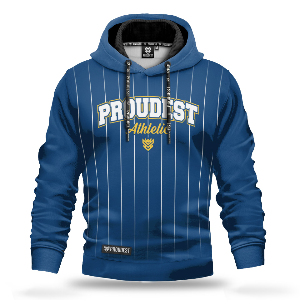 pinstripe blue bluza FP z kapturem
