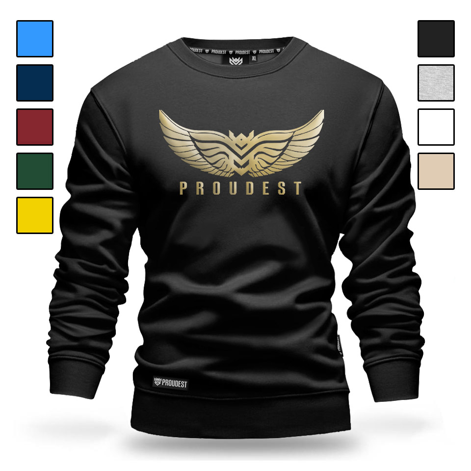 Glowna-klasyczna-WINGS.jpg